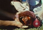 Immagine di Il servizio meteorologico nazionale United States USA, 1979, secondo 47 filmato di repertorio 65675076793
