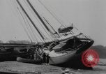 Standbild Schäden durch den Hurrikan von 1938 in Great New England New York City USA, 1938, aus Sekunde 41 historischem Filmmaterial Videoclip 65675076799