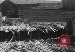 Image of damage from hurricane Rhode Island United States USA, 1938, second 12 stock footage video 65675076800