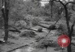 Image of damage from hurricane Connecticut USA, 1938, second 10 stock footage video 65675076801