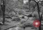 Image of damage from hurricane Connecticut USA, 1938, second 11 stock footage video 65675076801