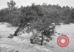 Image of damage from hurricane Connecticut USA, 1938, second 18 stock footage video 65675076801