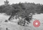 Image of damage from hurricane Connecticut USA, 1938, second 19 stock footage video 65675076801