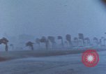 Standbild Hurricane Beulah hits South Texas Texas United States USA, 1967, aus Sekunde 39 historischem Filmmaterial Videoclip 65675076802