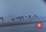 Standbild Hurricane Beulah hits South Texas Texas United States USA, 1967, aus Sekunde 40 historischem Filmmaterial Videoclip 65675076802