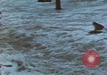 Standbild Hurricane Beulah hits South Texas Texas United States USA, 1967, aus Sekunde 44 historischem Filmmaterial Videoclip 65675076802
