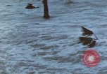 Standbild Hurricane Beulah hits South Texas Texas United States USA, 1967, aus Sekunde 45 historischem Filmmaterial Videoclip 65675076802