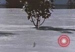Standbild Flut in Harlingen Texas Texas United States USA, 1967, aus Sekunde 20 historischem Filmmaterial Videoclip 65675076804