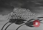 Standbild Hurrikan Warnung Service Miami Florida USA, 1947, aus Sekunde 27 historischem Filmmaterial Videoclip 65675076805