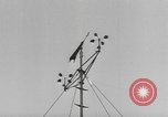 Image service d'avertissement d'ouragan Miami Florida USA, 1947, de la seconde 4 séquences d'archives historiques vidéo 65675076811