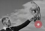 Standbild Fußball-Praxis Colorado United States USA, 1956, aus Sekunde 12 historischem Filmmaterial Videoclip 65675076819