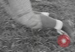 Standbild Fußball-Praxis Colorado United States USA, 1956, aus Sekunde 25 historischem Filmmaterial Videoclip 65675076819