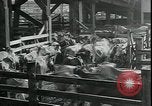 Immagine di Gli agricoltori americani Kansas City Missouri USA, 1934, secondo 3 filmato di repertorio 65675076823