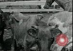 Immagine di Gli agricoltori americani Kansas City Missouri USA, 1934, secondo 5 filmato di repertorio 65675076823