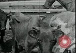 Immagine di Gli agricoltori americani Kansas City Missouri USA, 1934, secondo 6 filmato di repertorio 65675076823
