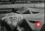 Immagine di Gli agricoltori americani Kansas City Missouri USA, 1934, secondo 8 filmato di repertorio 65675076823