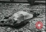 Immagine di Gli agricoltori americani Kansas City Missouri USA, 1934, secondo 9 filmato di repertorio 65675076823