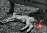Immagine di Gli agricoltori americani Kansas City Missouri USA, 1934, secondo 11 filmato di repertorio 65675076823