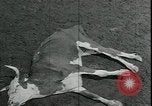 Immagine di Gli agricoltori americani Kansas City Missouri USA, 1934, secondo 12 filmato di repertorio 65675076823