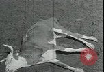 Immagine di Gli agricoltori americani Kansas City Missouri USA, 1934, secondo 13 filmato di repertorio 65675076823