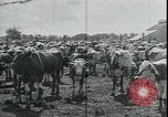 Immagine di Gli agricoltori americani Kansas City Missouri USA, 1934, secondo 29 filmato di repertorio 65675076823