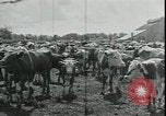 Immagine di Gli agricoltori americani Kansas City Missouri USA, 1934, secondo 30 filmato di repertorio 65675076823