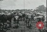 Immagine di Gli agricoltori americani Kansas City Missouri USA, 1934, secondo 31 filmato di repertorio 65675076823