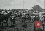 Immagine di Gli agricoltori americani Kansas City Missouri USA, 1934, secondo 32 filmato di repertorio 65675076823