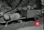 Image 'eau pour faire face à la sécheresse Louisburg Kansas USA, 1936, de la seconde 36 séquences d'archives historiques vidéo 65675076829