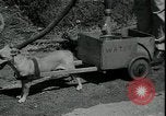 Image 'eau pour faire face à la sécheresse Louisburg Kansas USA, 1936, de la seconde 37 séquences d'archives historiques vidéo 65675076829