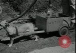 Image 'eau pour faire face à la sécheresse Louisburg Kansas USA, 1936, de la seconde 38 séquences d'archives historiques vidéo 65675076829