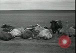 Image Tempête de poussière Midwest United States USA, 1934, de la seconde 37 séquences d'archives historiques vidéo 65675076836