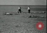 Image Tempête de poussière Midwest United States USA, 1934, de la seconde 42 séquences d'archives historiques vidéo 65675076836