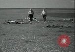 Image Tempête de poussière Midwest United States USA, 1934, de la seconde 44 séquences d'archives historiques vidéo 65675076836