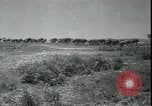 Image Tempête de poussière Midwest United States USA, 1934, de la seconde 59 séquences d'archives historiques vidéo 65675076836