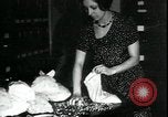 Image of Great depression relief jobs and programs for unemployed Washington DC USA, 1934, second 38 stock footage video 65675076838