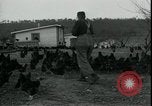 Image of Pine Valley Farm Colony in Georgia Georgia United States USA, 1935, second 17 stock footage video 65675076841