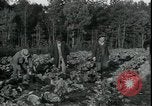 Image of Pine Valley Farm Colony in Georgia Georgia United States USA, 1935, second 19 stock footage video 65675076841