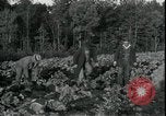 Image of Pine Valley Farm Colony in Georgia Georgia United States USA, 1935, second 20 stock footage video 65675076841