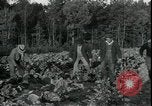 Image of Pine Valley Farm Colony in Georgia Georgia United States USA, 1935, second 21 stock footage video 65675076841