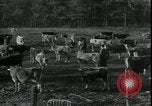Image of Pine Valley Farm Colony in Georgia Georgia United States USA, 1935, second 23 stock footage video 65675076841