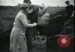Immagine di Il popolo americano per il recupero carburante nella grande depressione Gary Indiana USA, 1931, secondo 33 filmato di repertorio 65675076859