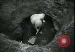 Immagine di Il popolo americano per il recupero carburante nella grande depressione Gary Indiana USA, 1931, secondo 37 filmato di repertorio 65675076859