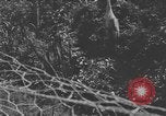 Image of river United States USA, 1920, second 11 stock footage video 65675076880