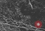 Image of river United States USA, 1920, second 12 stock footage video 65675076880