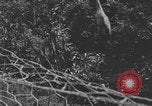 Image of river United States USA, 1920, second 13 stock footage video 65675076880
