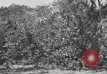 Image of river United States USA, 1920, second 15 stock footage video 65675076880