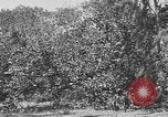 Image of river United States USA, 1920, second 16 stock footage video 65675076880