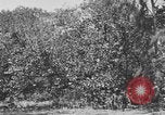 Image of river United States USA, 1920, second 17 stock footage video 65675076880
