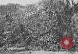Image of river United States USA, 1920, second 18 stock footage video 65675076880